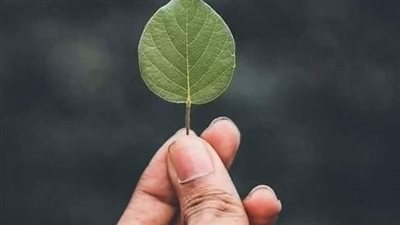 article