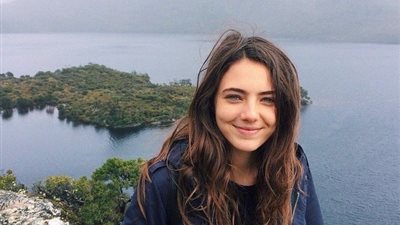 article
